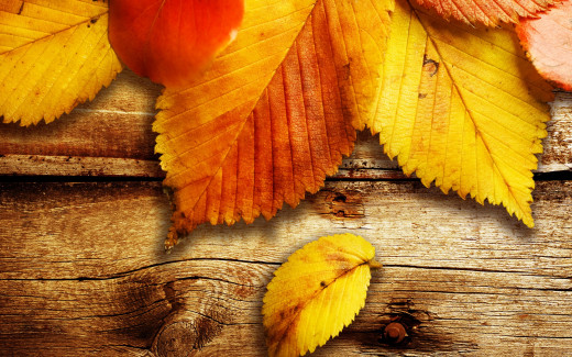 1721066 (a): :2560x1600